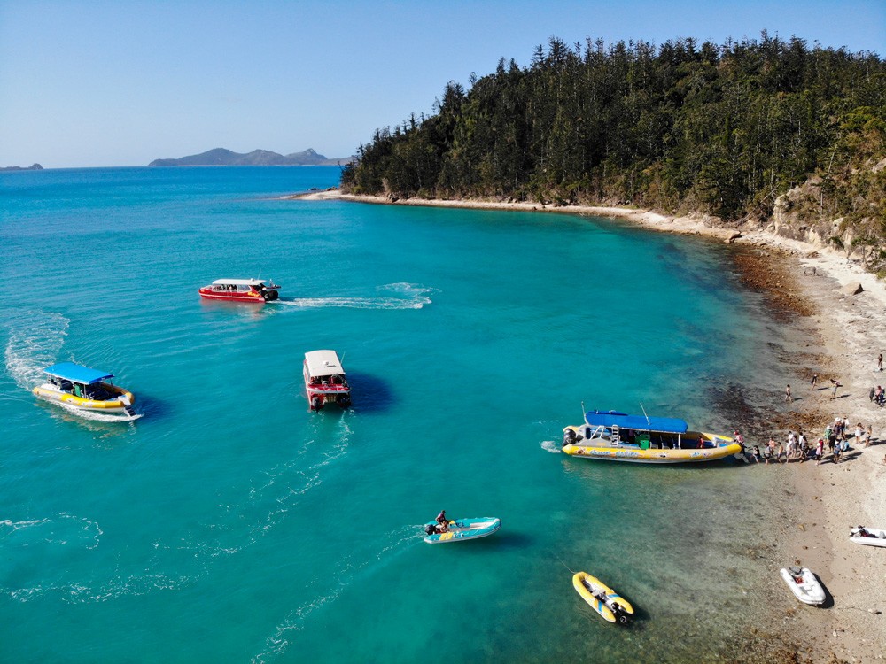 fotografía del mar de las WhitSundays con barcos que están en la costa y la vegetación